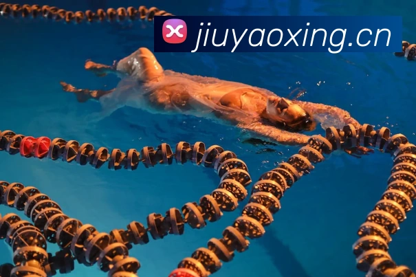 星空体育综合官网平台生态图